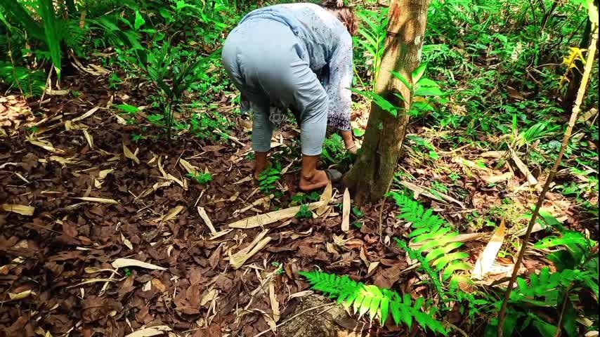 Fucking in the jungle with girlfriend,with clear dirty talking