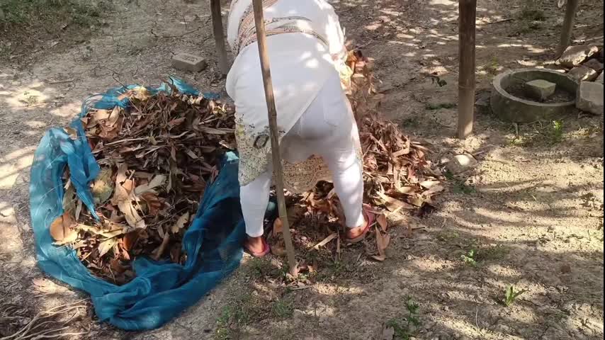 New video 2024-05-06 12 44 33