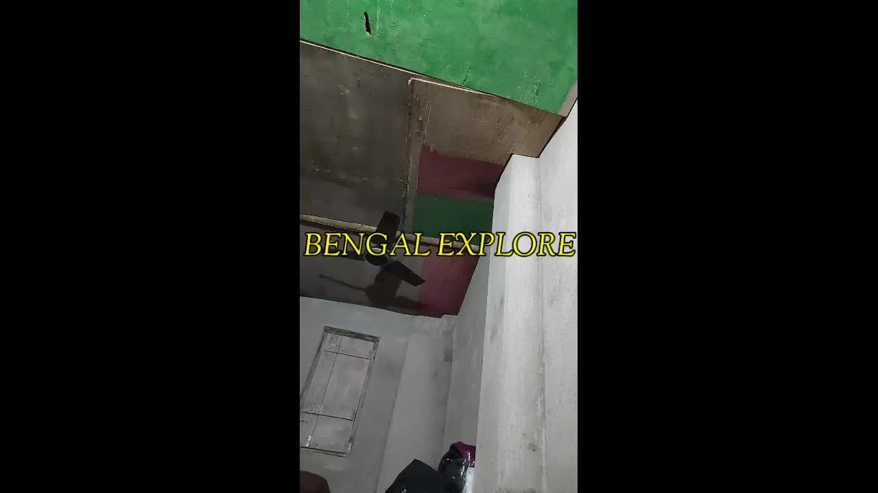 Sonagachi fucking video