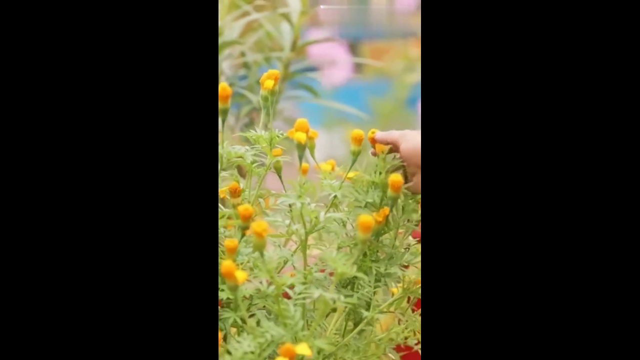 Indian Beautiful Bhabhi Sex